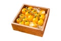 Box with yellow cherry tomato. Isolated on white background, top view. Royalty Free Stock Photo