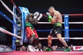 Boxe Magnesi vs Awuku & x28;International WBC Super Feather Weight Title Royalty Free Stock Photo