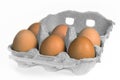 Boxed organic eggs Royalty Free Stock Photo