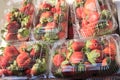Boxed strawberries Royalty Free Stock Photo
