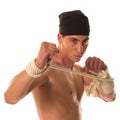 Boxer Royalty Free Stock Photo