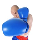 Boxer in blue gloves