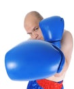 Boxer in blue gloves Royalty Free Stock Photo