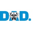 Boxer dad in blue Royalty Free Stock Photo