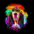 Boxer dog in the abstract color art