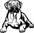 Boxer - Dog Breed, Funny dog Vector File, detailed vector