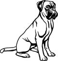 Boxer - Dog Breed, Funny dog Vector File, detailed vector