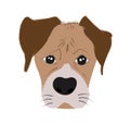 Boxer dog cute head and expression face - Vector hand drawn illustration