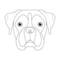 Boxer dog easy coloring cartoon vector illustration. Isolated on white background