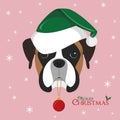 Boxer dog with green Santa`s hat and Christmas toy ball