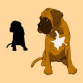 Boxer dog puppy realistic vector illustration Royalty Free Stock Photo