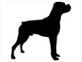 Boxer dog silhouette vector art white background