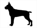 Boxer dog silhouette vector art white background