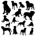 Boxer dog silhouettes,Boxer dog animal silhouette collection Royalty Free Stock Photo