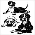 Boxer dog - vector set isolated illustration on white background