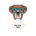 Boxer dog wearing in glasses. Boxer geek. Vector illustration.