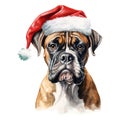 Boxer Dog Wearing a Santa Hat