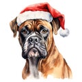 Boxer Dog Wearing a Santa Hat