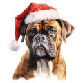 Boxer Dog Wearing a Santa Hat