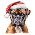 Boxer Dog Wearing a Santa Hat