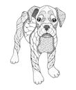 Boxer dog in zentangle and stipple style. Vector illustration. Royalty Free Stock Photo