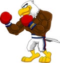 Boxer Eagle Cartoon Character In Boxing Gloves Standing
