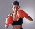Boxer, fight and portrait of woman in studio for sports exercise, strong muscle or mma training. Indian female, boxing Royalty Free Stock Photo
