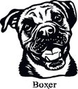 Boxer - Funny Dog, Vector File, Cut Stencil for Tshirt