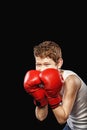 Boxer for gloves Royalty Free Stock Photo