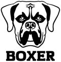 Boxer head black and white