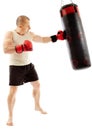 Boxer hitting the punching bag