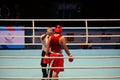 Boxer knockout referee counting Royalty Free Stock Photo