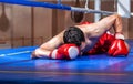 Boxer lying knocked out in a boxing ring Royalty Free Stock Photo