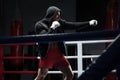 Boxer man workout in boxing ring. Boxing fighter in hoodie Royalty Free Stock Photo
