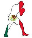Boxer With The Mexican Nationalg Flag