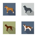 Boxer, pit bull, St. Bernard, retriever.Dog breeds set collection icons in flat style vector symbol stock illustration