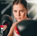 Boxer, portrait or woman training for fitness in cardio workout or exercise with boxing gloves or focus at gym. Face Royalty Free Stock Photo