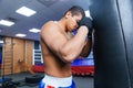 Boxer resting in gym