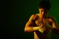 Boxer Series Royalty Free Stock Photo