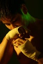 Boxer series Royalty Free Stock Photo