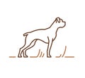 Boxer thoroughbred dogs icon, pedigree friendly pets sign. Contour vector illustration for cynology company advertising