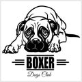 Boxer - vector illustration for t-shirt, logo and template badges Royalty Free Stock Photo