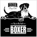 Boxer - vector illustration for t-shirt, logo and template badges Royalty Free Stock Photo