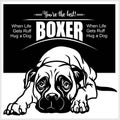 Boxer - vector illustration for t-shirt, logo and template badges