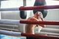 Boxer wiping the sweat after hard fight Royalty Free Stock Photo