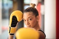 Boxer woman in boxing gloves. Royalty Free Stock Photo