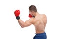 A boxer, works out a blow with his left hand. Isolated.