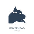 boxerhead icon in trendy design style. boxerhead icon isolated on white background. boxerhead vector icon simple and modern flat