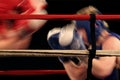 Boxers Royalty Free Stock Photo