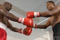 Boxers Before The Start Of A Match Royalty Free Stock Photo